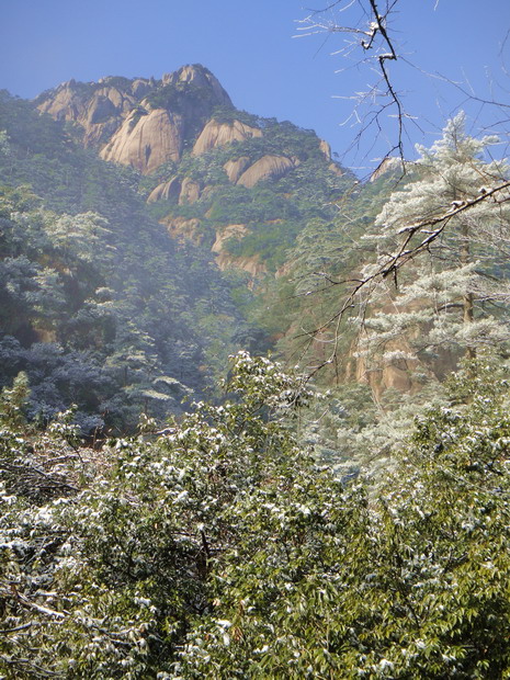 dsc09958.jpg