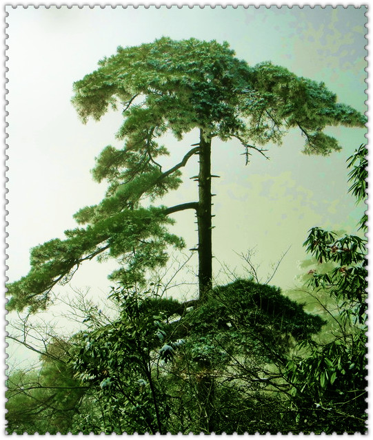 dsc09972_.jpg