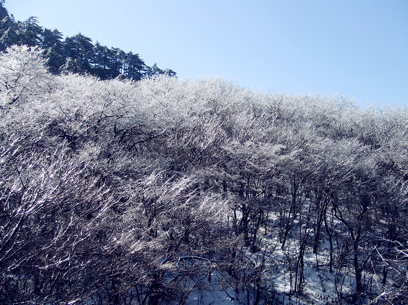 dscf0324_.jpg
