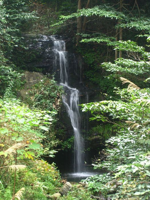 201010296332315398.jpg