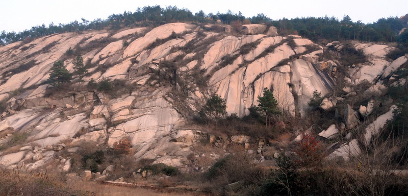 sam_5806_СС.jpg