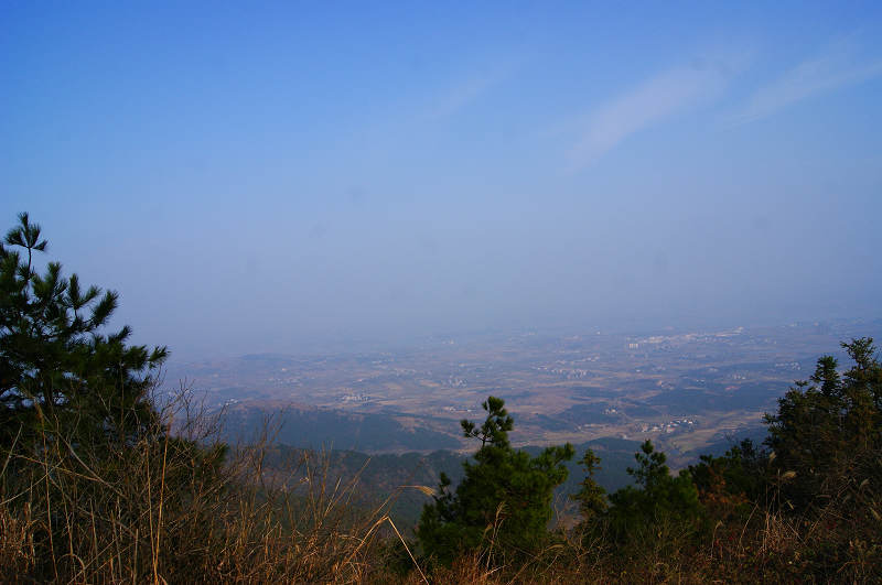 dsc01978.jpg
