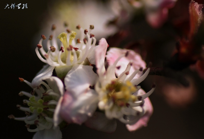 img_0680_conew1.jpg