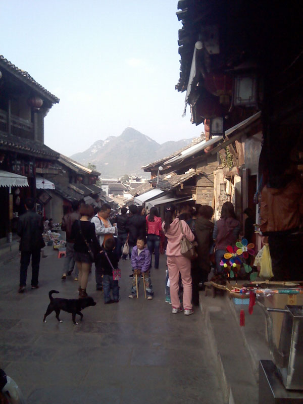 img_20111120_153911.jpg
