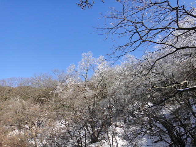 dsc02403.jpg
