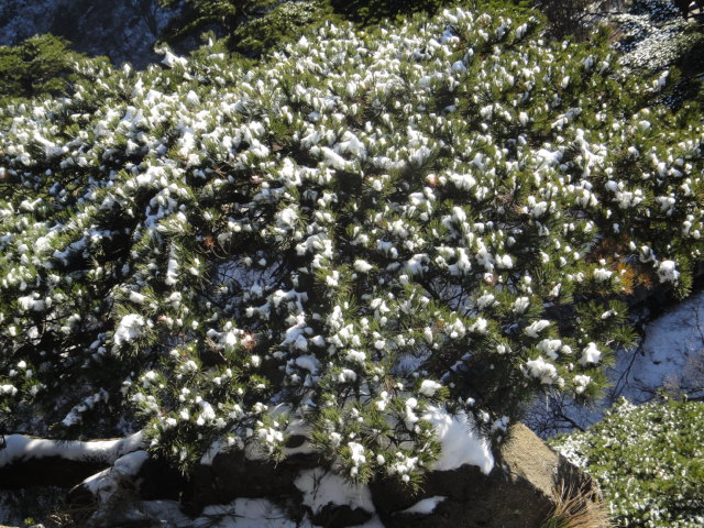 dsc02427.jpg