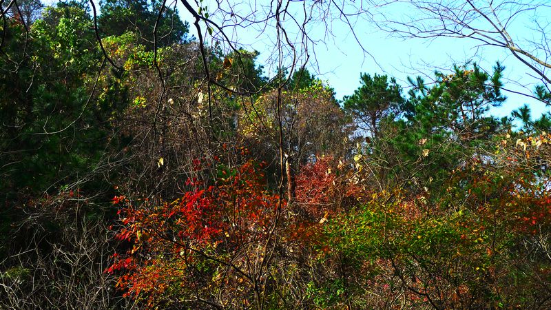 p1150419.jpg