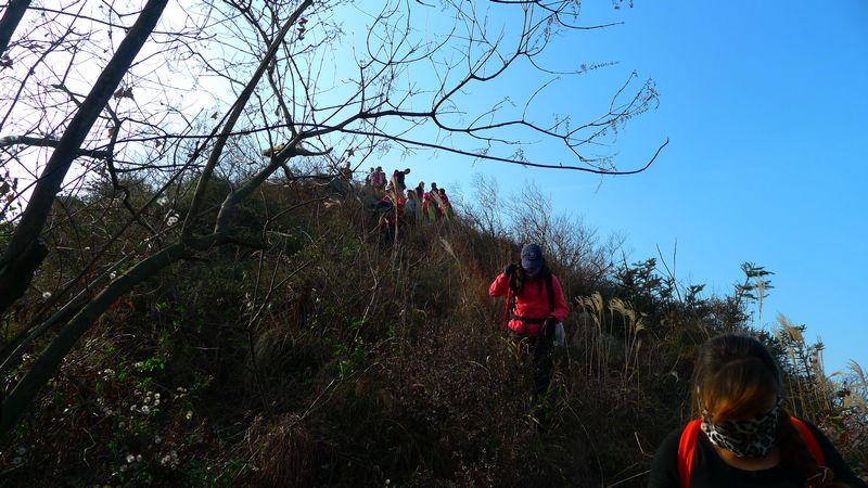 p1150475.jpg