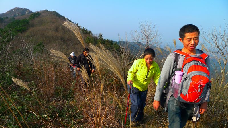 p1150482.jpg