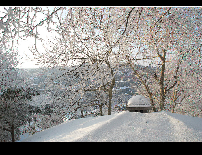 dsc_0190.jpg