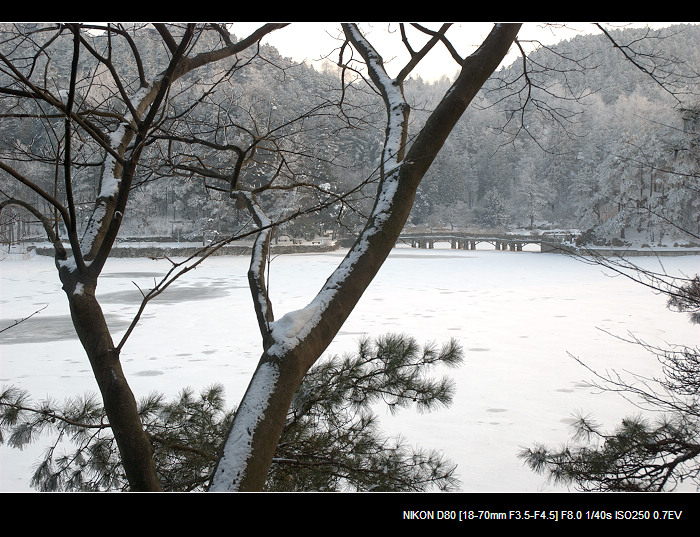 dsc_0225.jpg