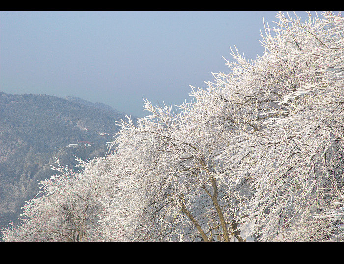 dsc_0198.jpg