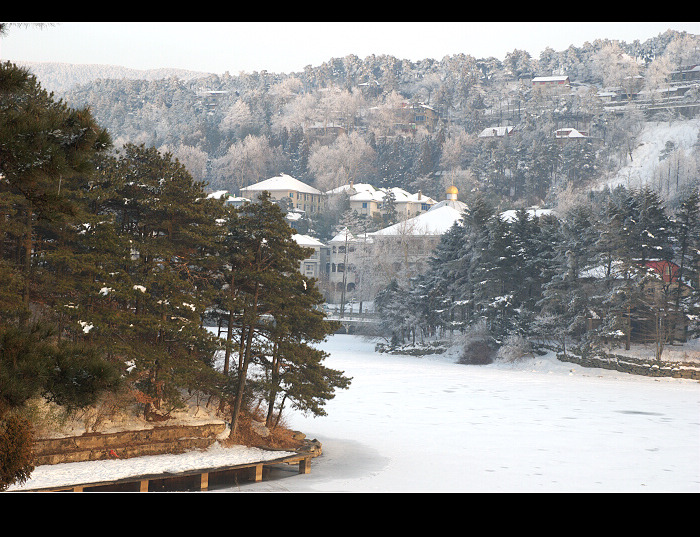 dsc_0224.jpg