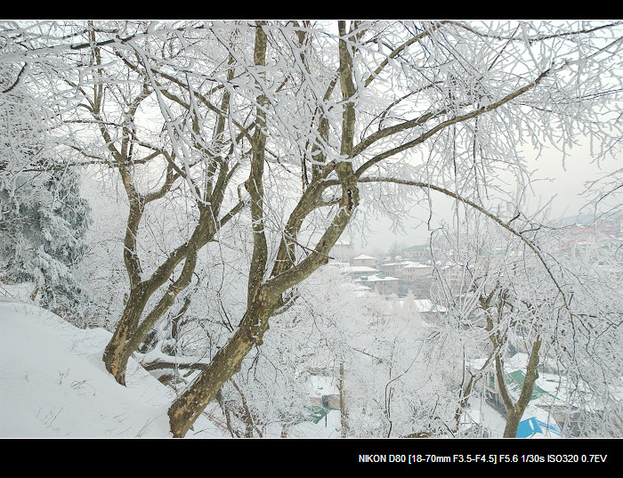 dsc_0275.jpg