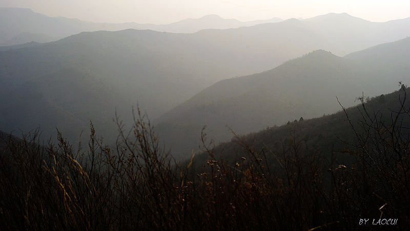 l1016252.jpg