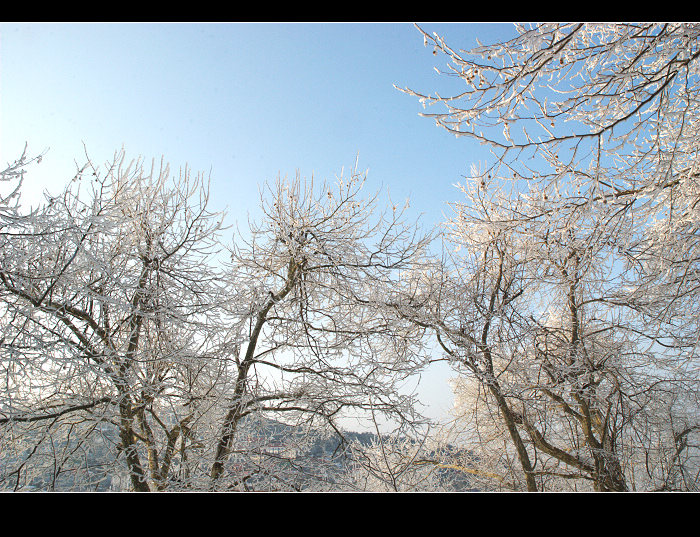 dsc_0188.jpg