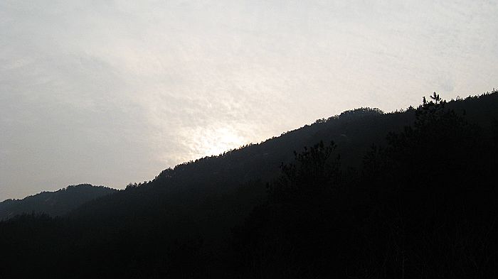 neo_img_img_8717.jpg