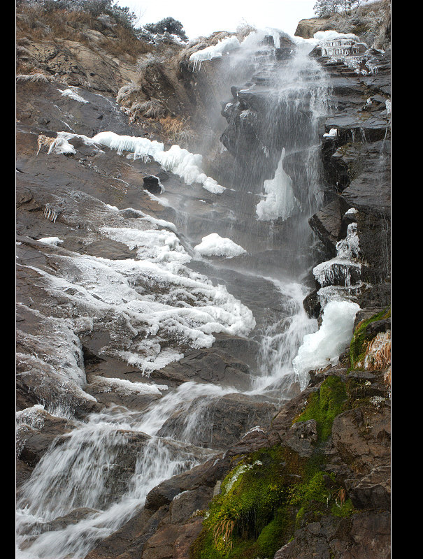 dsc_0065.jpg