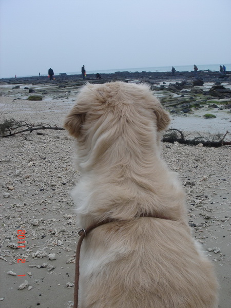 dsc04092.jpg