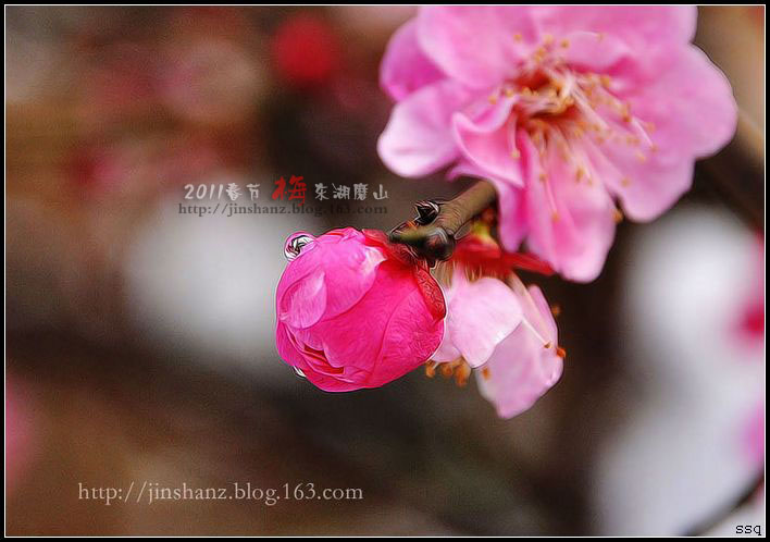 neo_img_dsc_3332.jpg