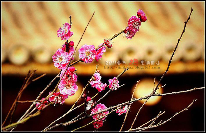 neo_img_dsc_3553.jpg