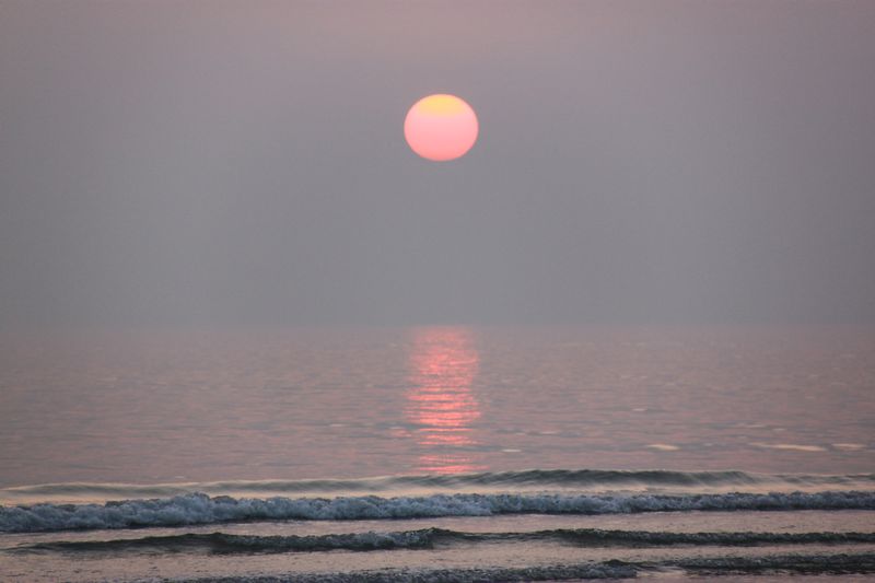 ޵-1 267-1.jpg
