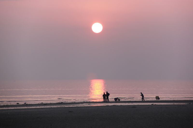 ޵-1 256-1.jpg