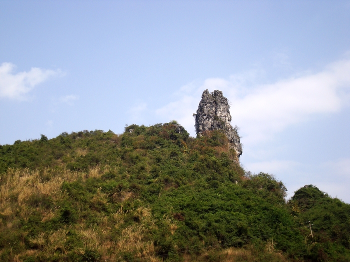 dsc08825.jpg