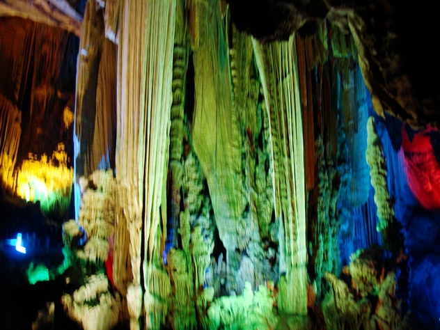 dsc08917.jpg