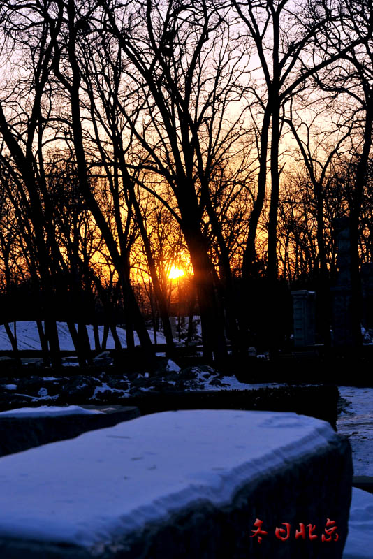 dxh_9891.jpg