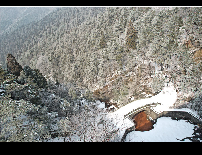 dsc_0114.jpg