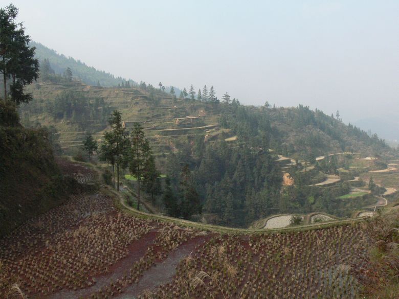 p1120355.jpg