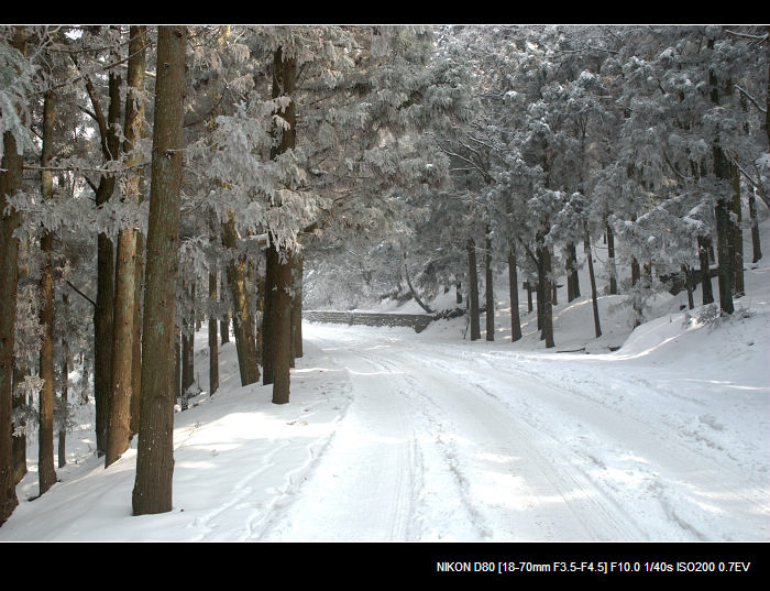 dsc_0093.jpg