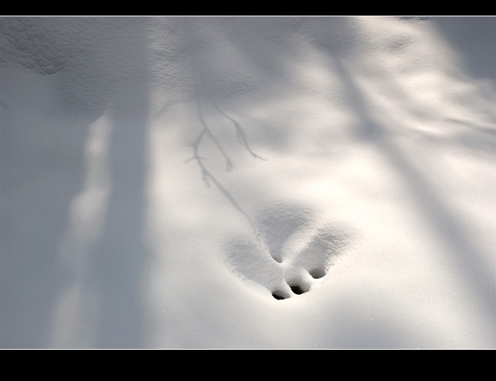 dsc_0094.jpg