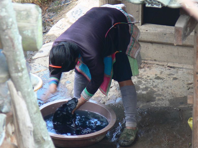 p1110994.jpg