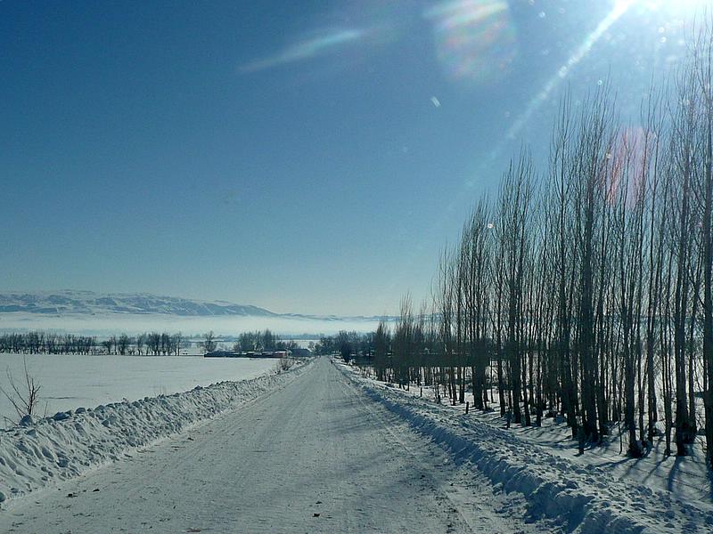 p1210920.jpg