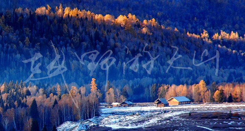 dsc_1416.7С.jpg