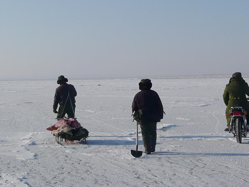 p1220114.jpg