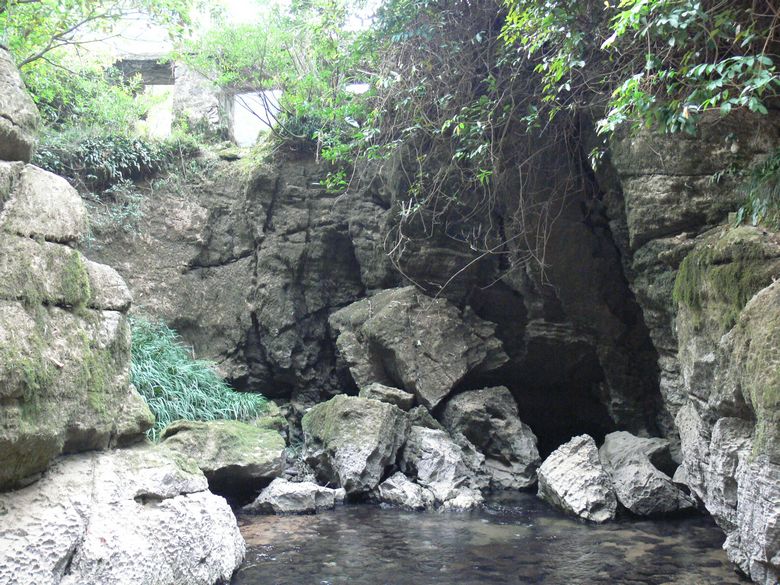 p1120388.jpg