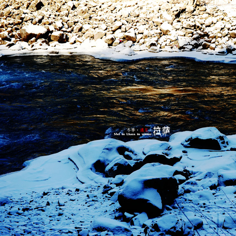 dsc_2281.jpg