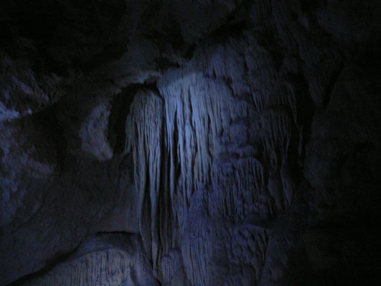 p1120435.jpg