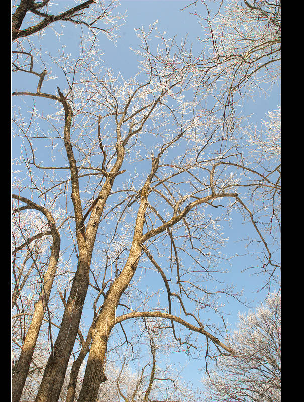dsc_0145.jpg