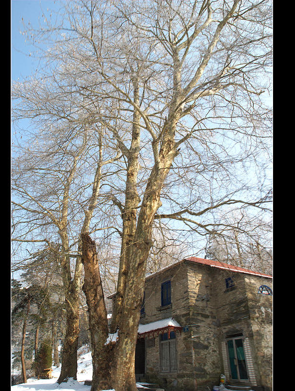 dsc_0140.jpg