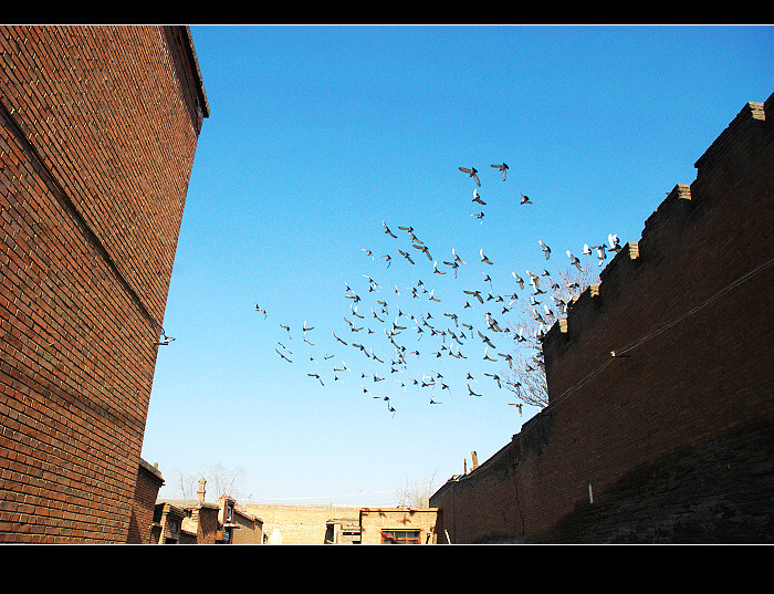 dsc_0157.jpg