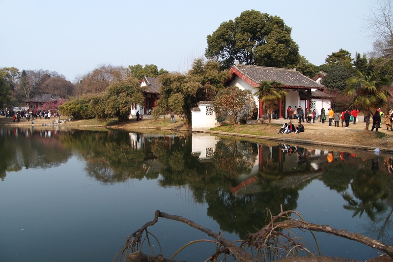 k1045820.jpg