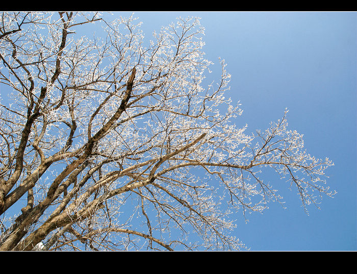 dsc_0144.jpg