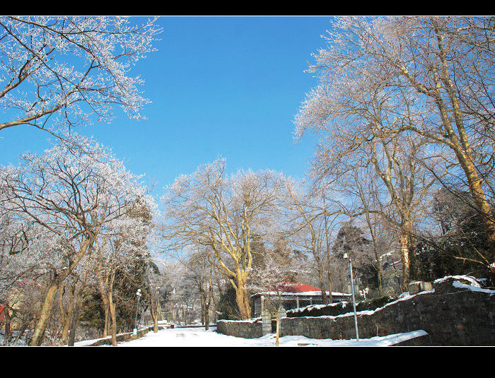 dsc_0151.jpg