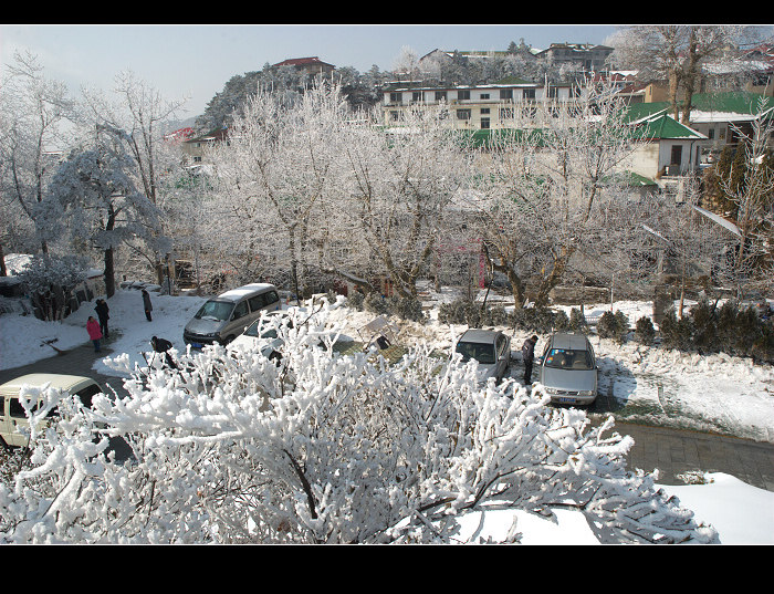 dsc_0141.jpg