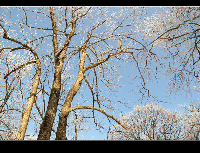 dsc_0154.jpg