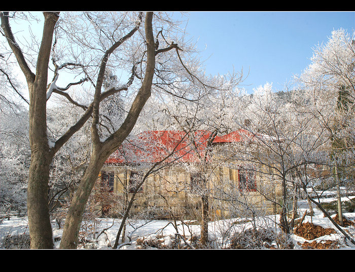 dsc_0146.jpg